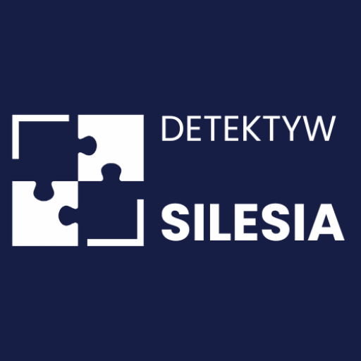 Cropped DETEKTYWsilesiapoppins